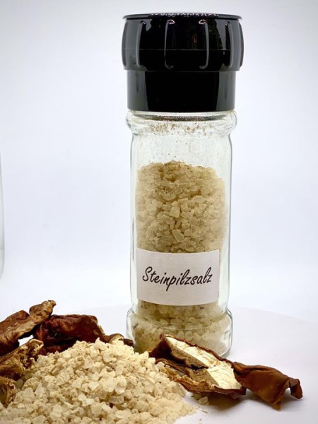 Steinpilzsalz